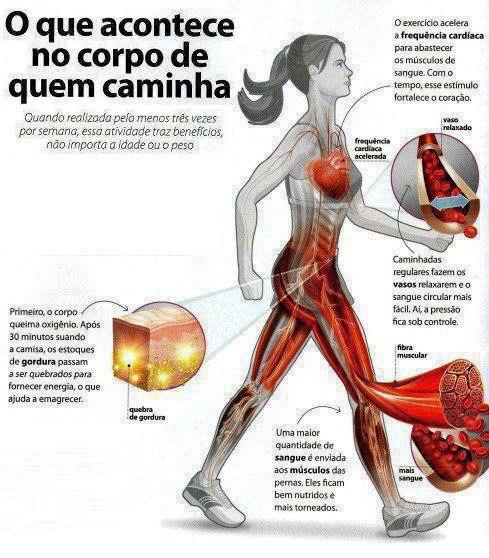 Benefícios das caminhas. Nutricionista Alphaville comenta sobre isso.